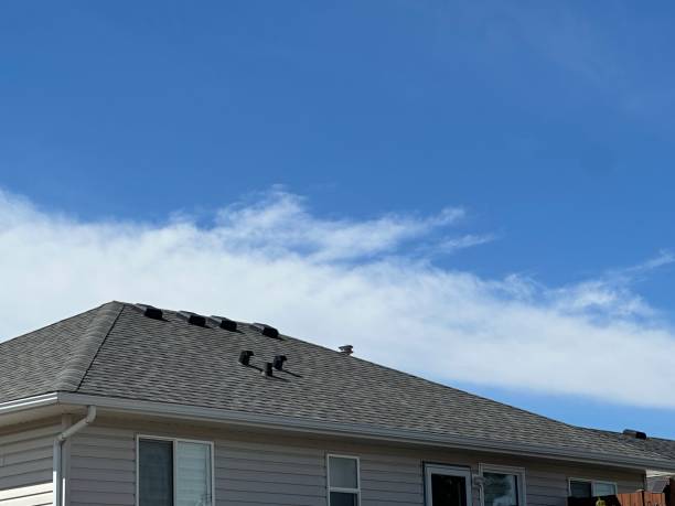 Best Rubber Roofing (EPDM, TPO)  in Angola, NY